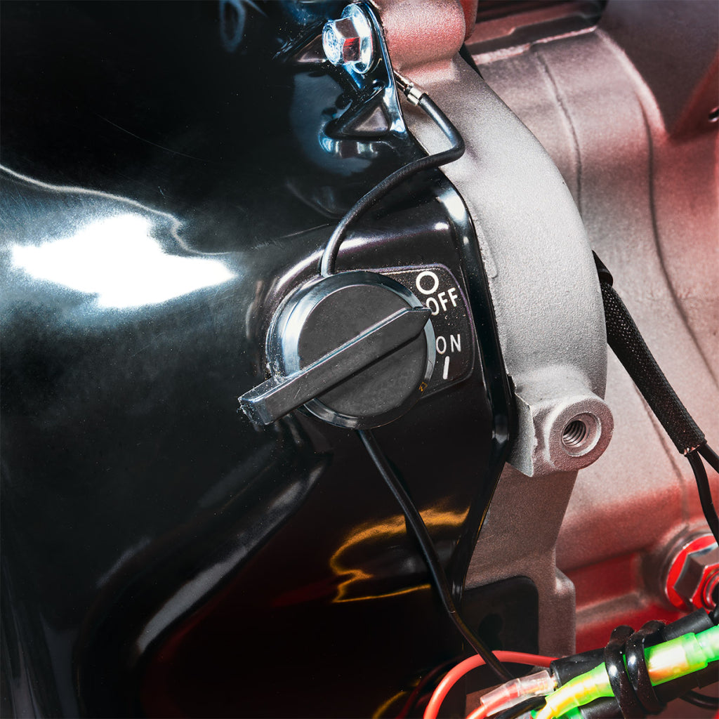 TOCATOR CRENGI SI TULPINI PE BENZINA 420CC, 8.6 KW, 100MM RD-GSH02