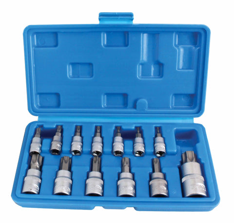 SET CHEI BITI TORX T8-T60 13 PIESE