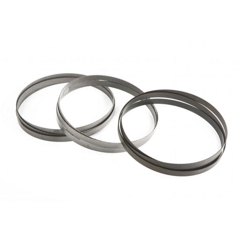 PANZA 10-T(8/12) BI-METAL PENTRU FIERASTRAU CU BANDA 1638MM HBM