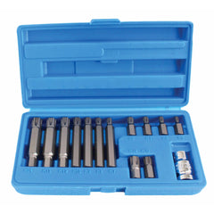 TRUSA BITI RIBE 14 PIESE SATRA