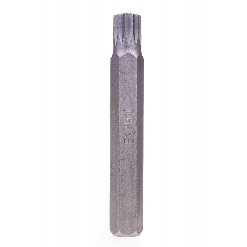 Bit lung  m10