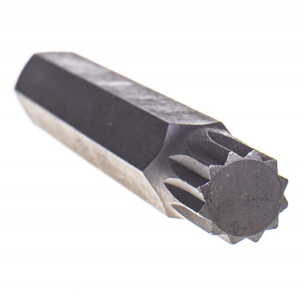 Bit lung  m10