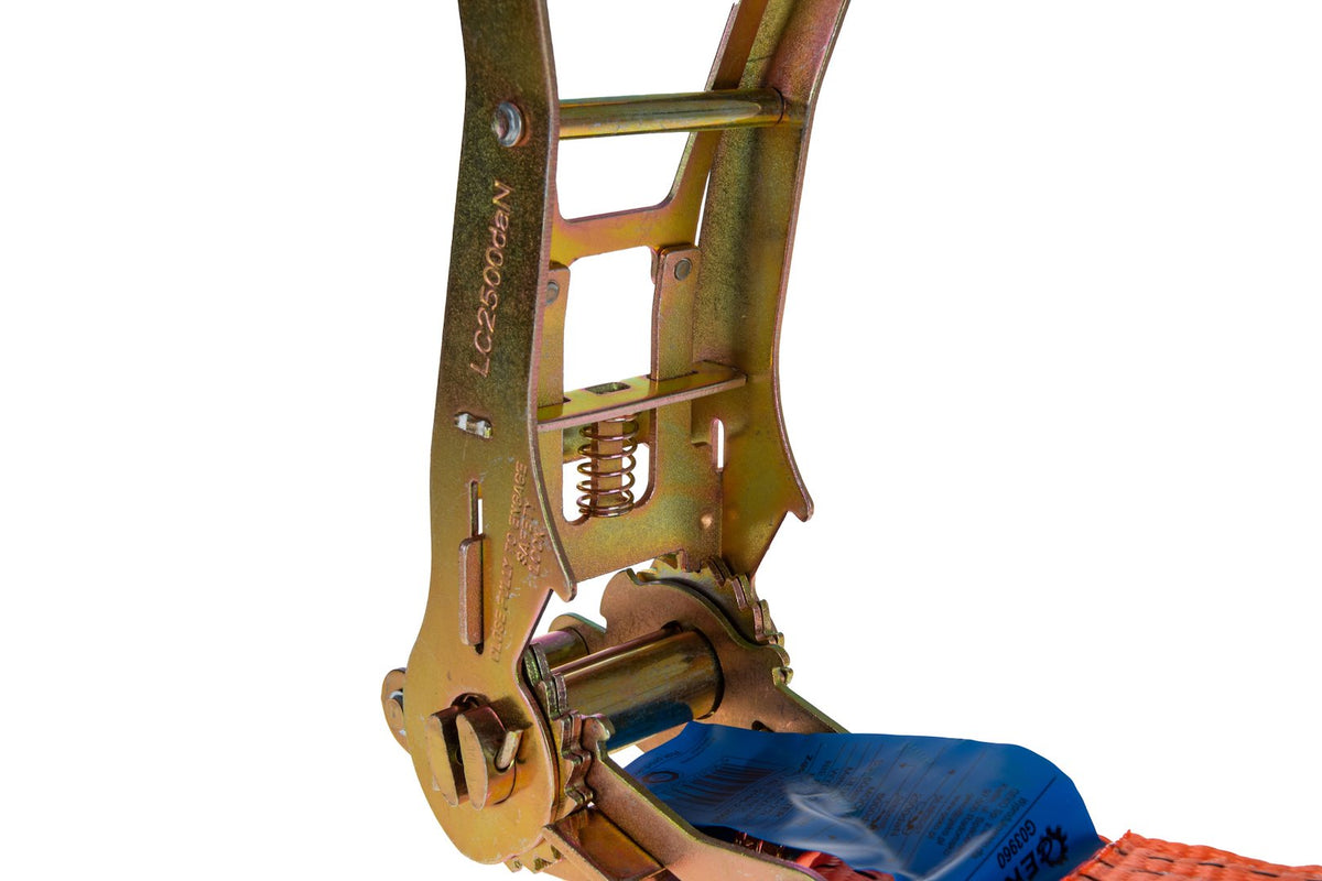 Chinga curea de ancorare cu clichet ergo 10m/5T/50mm