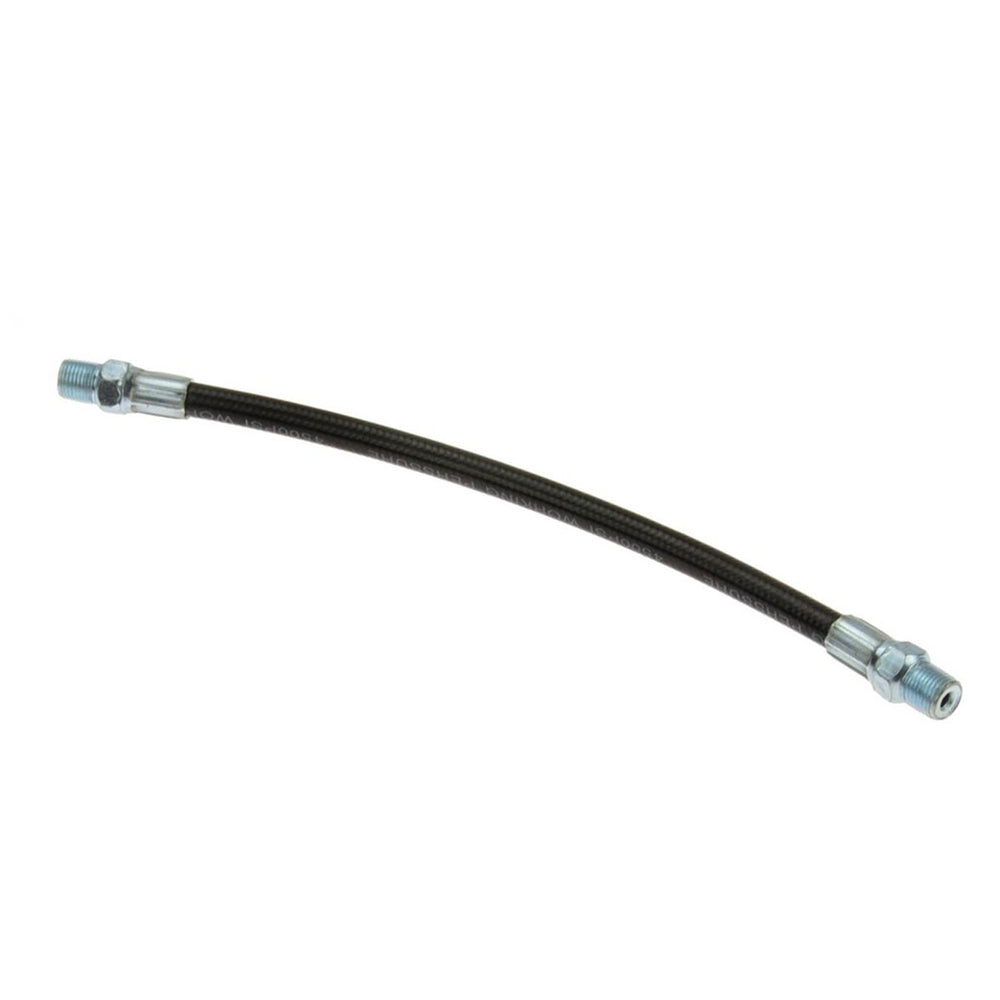 Furtun pentru pompa de gresat 250 mm 1/8" BSPt