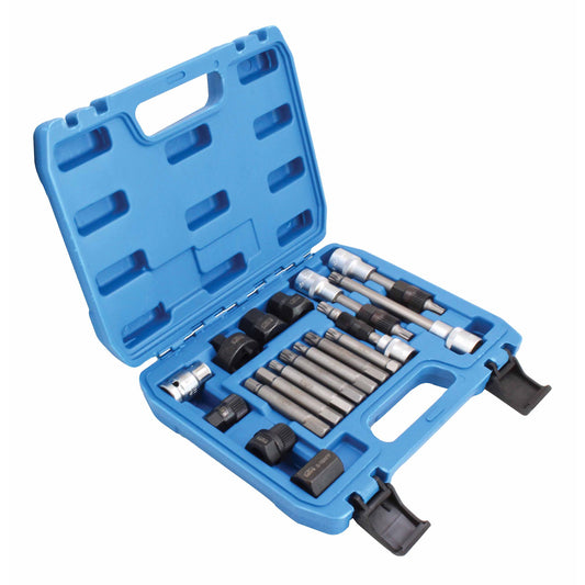 Trusa chei montare demontare fulii alternator auto, universala, 18 piese SATRA