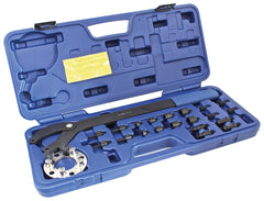 TRUSA CHEI BLOCARE FULII PINIOANE