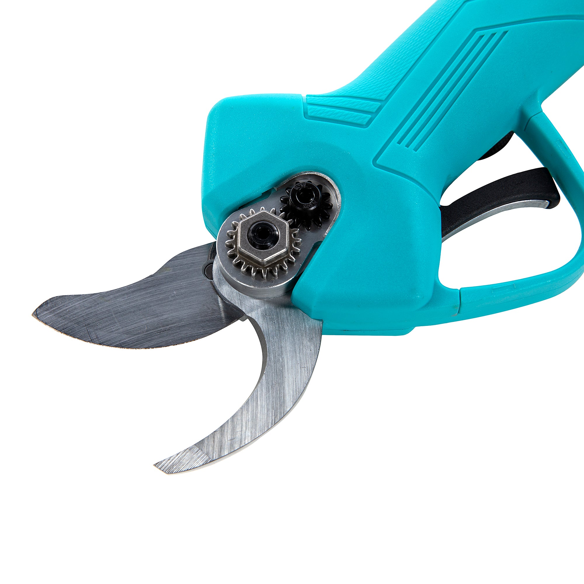 FOARFECA DE GRADINA CU ACUMULATOR 20V 2AH DETOOLZ
