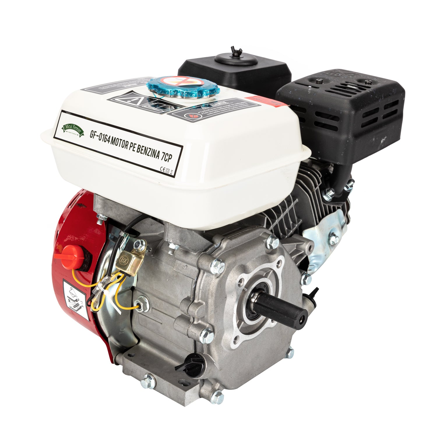 MOTOR PE BENZINA 7CP 196CC