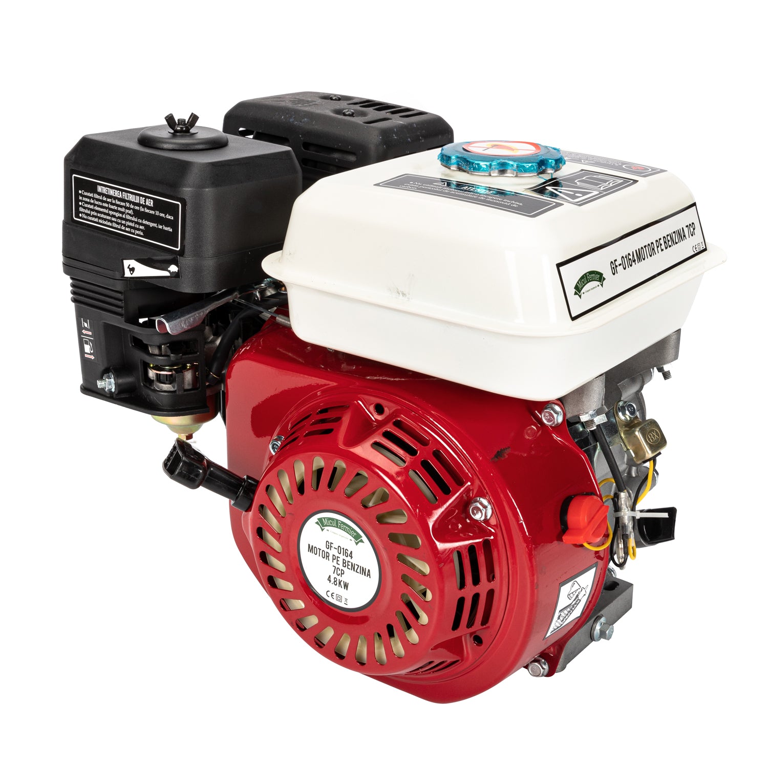 MOTOR PE BENZINA 7CP 196CC
