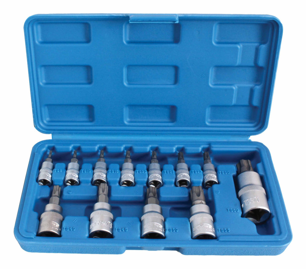 Set chei biti TORX cu gaura tx8-tx60 13 piese